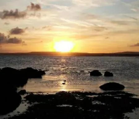 Cocon * ماركيز